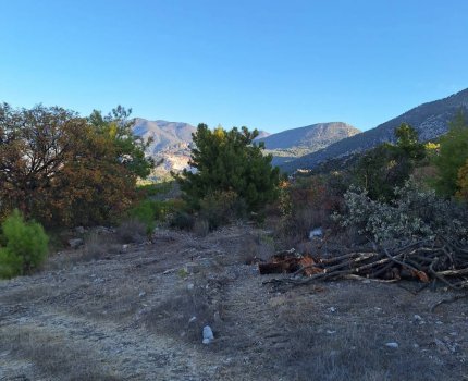 ANTALYA KUMLUCA ERENTEPE DE KUPON TARLA YOLA YAKIN